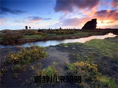 顾辞川宋昭昭(顾辞川宋昭昭：结局+番外)全文免费阅读无弹窗大结局_(顾辞川宋昭昭)最新章节列表_笔趣阁(顾辞川宋昭昭：结局+番外)