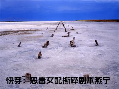 燕宁（快穿：恶毒女配撕碎剧本）全文免费阅读无弹窗大结局_快穿：恶毒女配撕碎剧本全文免费阅读_笔趣阁（燕宁）