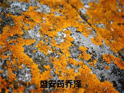 盛安筠乔泽不能陪你到老特别篇章节目录+章节前文（不能陪你到老）TXT清爽版在线