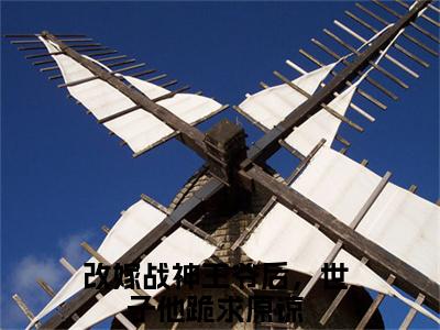 (番外)+(全文)冯雪时萧钦余（改嫁战神王爷后，世子他跪求原谅：结局+番外+全文）全文免费阅读无弹窗大结局_(冯雪时萧钦余)最新章节列表_笔趣阁（改嫁战神王爷后，世子他跪求原谅：结局+番外+全文）