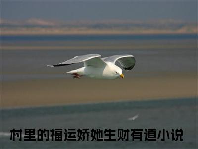 热门章节_笔趣阁（村里的福运娇她生财有道）村里的福运娇她生财有道小说(范晋李石榴)章节在线阅读