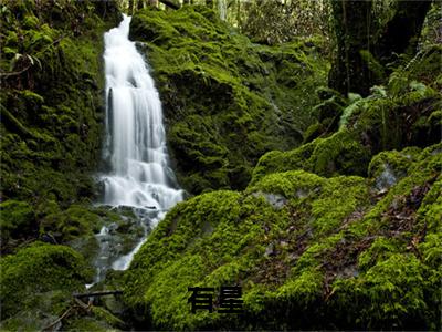 蒋引星陈时雨：结局+番外有星小说全文无删减版在线阅读-最新小说蒋引星陈时雨：结局+番外小说全文阅读