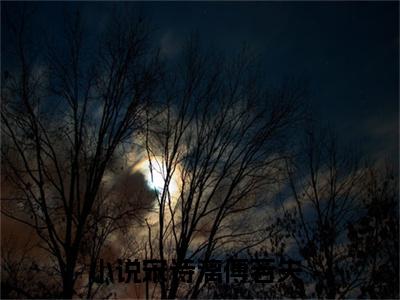 宋诗漓傅若失小说(宋诗漓傅若失)章节目录+起始篇章（宋诗漓傅若失）全章无套路在线