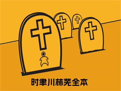 不许流年不许情（时聿川林芜）全文免费阅读_（时聿川林芜）小说不许流年不许情最新章节阅读