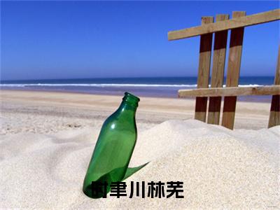 时聿川林芜（不许流年不许情）小说全文免费阅读-时聿川林芜（不许流年不许情）免费在线阅读完整版