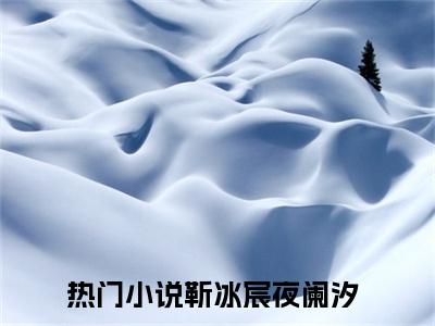 (靳冰宸夜阑汐：结局+番外)完整版(入夜躁动期)全文免费阅读无弹窗大结局_靳冰宸夜阑汐：结局+番外最新章节列表_笔趣阁入夜躁动期