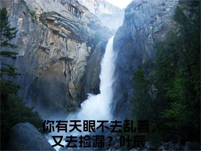 （你有天眼不去乱看，又去捡漏？叶辰：你有天眼不去乱看，又去捡漏？叶辰）你有天眼不去乱看，又去捡漏？叶辰：全文+结局+番外免费阅读完结版全文_你有天眼不去乱看，又去捡漏？叶辰：你有天眼不去乱看，又去捡漏？叶辰最新章节无弹窗_笔趣阁（你有天眼不去乱看，又去捡漏？叶辰：全文+结局+番外）