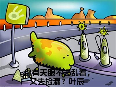 你有天眼不去乱看，又去捡漏？叶辰小说（你有天眼不去乱看，又去捡漏？叶辰）全文免费阅读_（你有天眼不去乱看，又去捡漏？叶辰）小说最新章节列表_笔趣阁（你有天眼不去乱看，又去捡漏？叶辰）