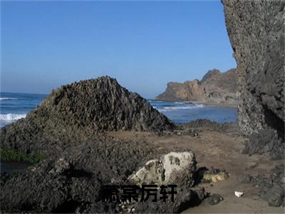 萧棠厉轩小说免费下载（萧棠厉轩完整全集已完结大结局小说）_萧棠厉轩免费阅读