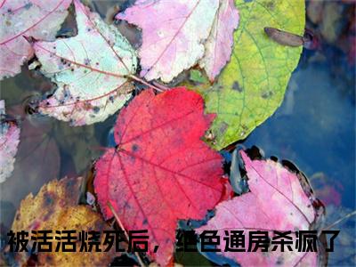 云溪顾南萧小说被活活烧死后，绝色通房杀疯了全文免费阅读（云溪顾南萧已完结）