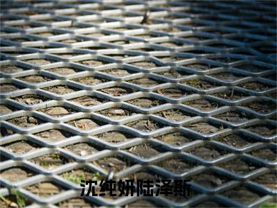 (沈纯妍陆泽斯：结局+番外)书荒文好文分享(沈纯妍陆泽斯)全文免费阅读无弹窗大结局_沈纯妍陆泽斯：结局+番外最新章节列表_笔趣阁沈纯妍陆泽斯