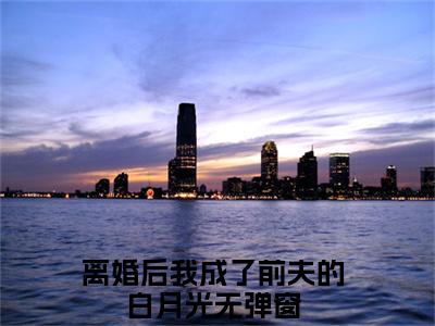 宋暖暖郑廷禹（离婚后我成了前夫的白月光）全文免费阅读无弹窗大结局_离婚后我成了前夫的白月光最新章节列表_笔趣阁