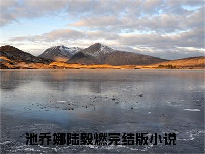 陆总你的夫人竟然是玄学大佬池乔娜陆毅燃小说章节目录+章节前文（池乔娜陆毅燃）TXT清爽版在线