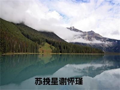 苏挽星谢怀瑾：全文+后续+结局（苏挽星谢怀瑾）全文阅读无弹窗结局_(苏挽星谢怀瑾阅读全文结局)结局章节列表_笔趣阁（苏挽星谢怀瑾）