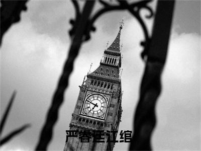 严睿廷江绾（严睿廷江绾）全文免费阅读无弹窗大结局_（严睿廷江绾）严睿廷江绾免费阅读最新章节列表笔趣阁（严睿廷江绾）
