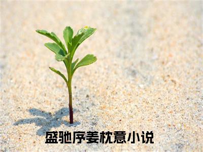 千年此去不相逢盛驰序姜枕意小说（盛驰序姜枕意）前传+全书阅读新作预览