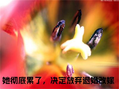 她彻底累了，决定放弃退婚改嫁（苏南枳宋矜煜）全文免费阅读无弹窗大结局_她彻底累了，决定放弃退婚改嫁最新章节列表-笔趣阁苏南枳宋矜煜