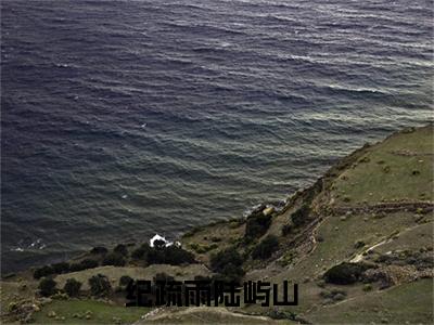 雾起时分不见你纪疏雨陆屿山免费阅读无弹窗最新章节列表-（雾起时分不见你）纪疏雨陆屿山全文免费阅读大结局笔趣阁