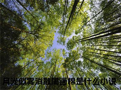 月光似雾消散周画棉小说全文免费阅读（月光似雾消散周画棉）全文免费阅读无弹窗大结局_（月光似雾消散周画棉）月光似雾消散周画棉结局最新章节列表_笔趣阁（月光似雾消散周画棉）
