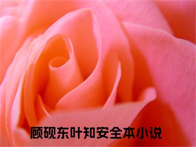 顾砚东叶知安全章节+无弹窗（顾砚东叶知安：结局+番外+完结）全文免费阅读大结局_顾砚东叶知安最新后续
