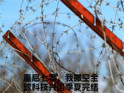 (番外)+(结局)重启七零，我搬空全球科技兴国季夏(重启七零，我搬空全球科技兴国季夏：结局+番外)全文免费阅读无弹窗大结局_(重启七零，我搬空全球科技兴国季夏)最新章节列表_笔趣阁(重启七零，我搬空全球科技兴国季夏：结局+番外)