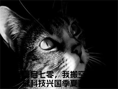 重启七零，我搬空全球科技兴国季夏小说免费阅读重启七零，我搬空全球科技兴国季夏小说全文免费阅读_（重启七零，我搬空全球科技兴国季夏）重启七零，我搬空全球科技兴国季夏最新章节列表笔趣阁