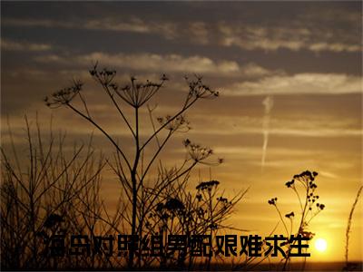 海岛对照组男配艰难求生小说（程旻安周书盈）全文免费阅读无弹窗大结局_海岛对照组男配艰难求生小说最新章节列表