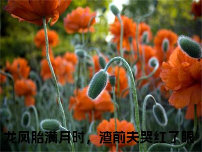 龙凤胎满月时，渣前夫哭红了眼全文（乔一沈言辞）全文免费阅读无弹窗大结局_乔一沈言辞全文最新章节列表