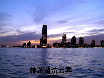 林芷凝沈云霁（枫林尽染尘埃落）小说免费阅读无弹窗大结局_（枫林尽染尘埃落阅读无弹窗）最新章节列表
