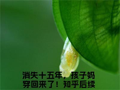 (番外)+(全文)林禾蒋峤：结局+番外（消失十五年，孩子妈穿回来了！）全文免费阅读无弹窗大结局_(消失十五年，孩子妈穿回来了！：结局+番外)最新章节列表_笔趣阁（消失十五年，孩子妈穿回来了！）