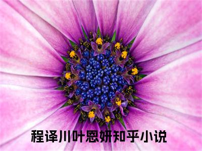 (番外)+(结局)程译川叶恩妍（他携星辰向云端：结局+番外+后续）全文免费阅读无弹窗大结局_(程译川叶恩妍)最新章节列表_笔趣阁（他携星辰向云端：结局+番外+后续）