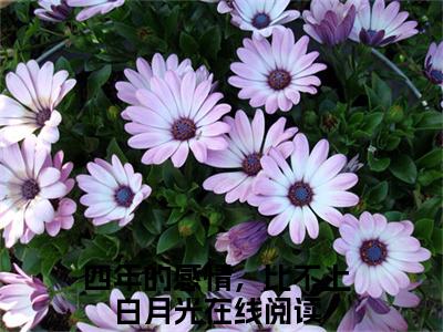 (番外)+(全文)时浅浅段泽川全文+后续+结局（四年的感情，比不上白月光）全文免费阅读无弹窗大结局_时浅浅段泽川全文+后续+结局最新章节列表_笔趣阁（四年的感情，比不上白月光）