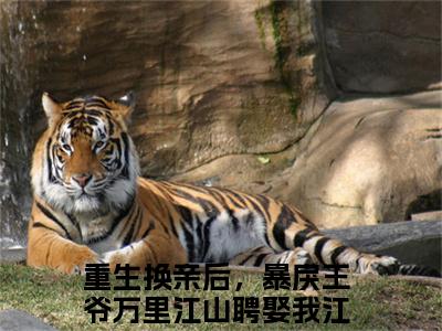 重生换亲后，暴戾王爷万里江山聘娶我江婉清：结局+番外（重生换亲后，暴戾王爷万里江山聘娶我江婉清：结局+番外）全文免费阅读无弹窗大结局_重生换亲后，暴戾王爷万里江山聘娶我江婉清：结局+番外（重生换亲后，暴戾王爷万里江山聘娶我江婉清）最新章节列表_笔趣阁（重生换亲后，暴戾王爷万里江山聘娶我江婉清）