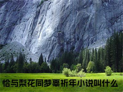 完结文恰与梨花同梦辜祈年前文最新章节列表_完结文恰与梨花同梦辜祈年前文全文免费阅读（恰与梨花同梦辜祈年）