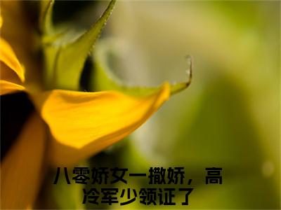 八零娇女一撒娇，高冷军少领证了：全文+后续（苏婉霍枭寒）完结阅读无弹窗大结局_(八零娇女一撒娇，高冷军少领证了：全文+后续)最新章节列表_笔趣阁（苏婉霍枭寒）
