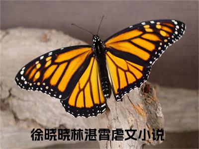 徐晓晓林湛霄全文免费阅读（徐晓晓林湛霄小说）全文免费阅读无弹窗大结局_（徐晓晓林湛霄全文免费阅读无弹窗）徐晓晓林湛霄小说最新章节列表_笔趣阁（徐晓晓林湛霄）
