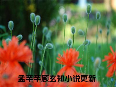 孟芊芊顾玄知：结局+番外（穿梭古今，我帮废太子夺天下：结局+番外）完结阅读无弹窗大结局_(穿梭古今，我帮废太子夺天下)最新章节列表_笔趣阁（孟芊芊顾玄知：结局+番外）