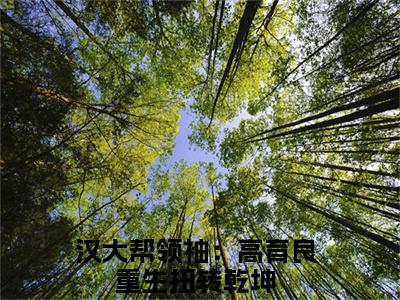 高育良孙连城小说（汉大帮领袖：高育良重生扭转乾坤）全文免费阅读无弹窗大结局_高育良孙连城全文免费完结版阅读（汉大帮领袖：高育良重生扭转乾坤）
