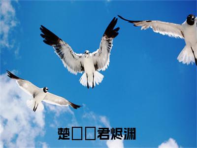 小说暴戾帝王当众辱我，转身勾他兄弟在线阅读-正版小说《楚婳祎君烬渊》暴戾帝王当众辱我，转身勾他兄弟全文阅读