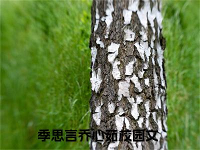 季思言乔心茹（季思言乔心茹）火热新书无弹窗大结局_（季思言乔心茹）最新章节列表_笔趣阁