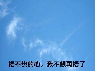 姜屿月闻聿风（捂不热的心，我不想再捂了）小说全文免费阅读-姜屿月闻聿风（捂不热的心，我不想再捂了）免费在线阅读完整版