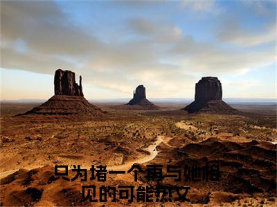 完结文只为堵一个再与她相见的可能最新章节列表_完结文只为堵一个再与她相见的可能全文免费阅读（施窈时青潋）(番外)+(全文)