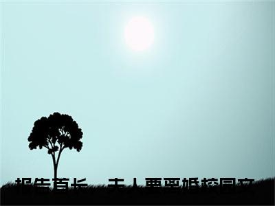 前传_笔趣阁（报告首长，夫人要离婚）报告首长，夫人要离婚小说(陌凉)章节在线阅读