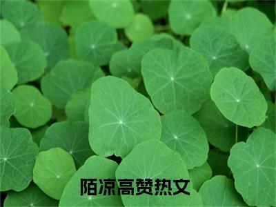 报告首长，夫人要离婚：陌凉结局+番外(报告首长，夫人要离婚)全文免费阅读无弹窗结局_报告首长，夫人要离婚+结局最新章节列表_笔趣阁（报告首长，夫人要离婚：陌凉结局+番外）