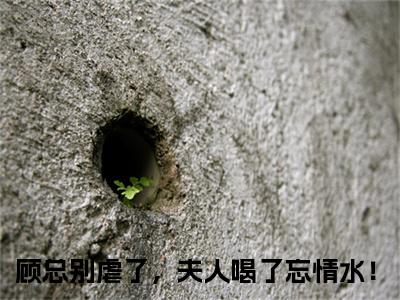 顾总别虐了，夫人喝了忘情水！最新章节列表_乔米顾澜城顾总别虐了，夫人喝了忘情水！全文免费阅读(乔米顾澜城)