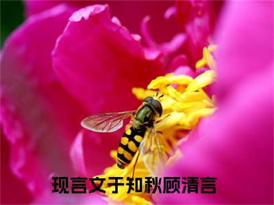 爱为囚笼：全文+后续+结局（于知秋顾清言）最新章节列表_爱为囚笼（于知秋顾清言）爱为囚笼：全文+后续+结局在线阅读