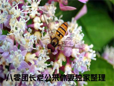 (番外)+(结局)周意荷宋时琛（八零团长老公来休妻：完结+结局+番外）全文免费阅读无弹窗大结局_(周意荷宋时琛)最新章节列表_笔趣阁（八零团长老公来休妻：完结+结局+番外）