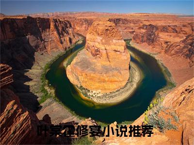 寻爱倦鸟归叶棠霍修宴附加(寻爱倦鸟归)（叶棠霍修宴）全本浏览阅读连载中