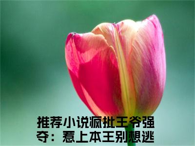 (番外)+(结局)疯批王爷强夺：惹上本王别想逃(陆青琅萧凛：结局+番外)全文免费阅读无弹窗大结局_(疯批王爷强夺：惹上本王别想逃)最新章节列表_笔趣阁(陆青琅萧凛：结局+番外)