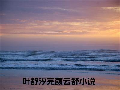 温润太子？不，是姐姐的小哭包！小说(叶舒汐完颜云舒)（温润太子？不，是姐姐的小哭包！）整本+后续+结局在线阅读